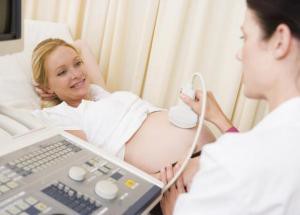 shutterstock_15802678_Pregnant woman getting ultrasound from doctor